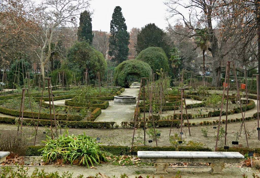Real Jardín Botánico de Madrid, изображение ландшафта.