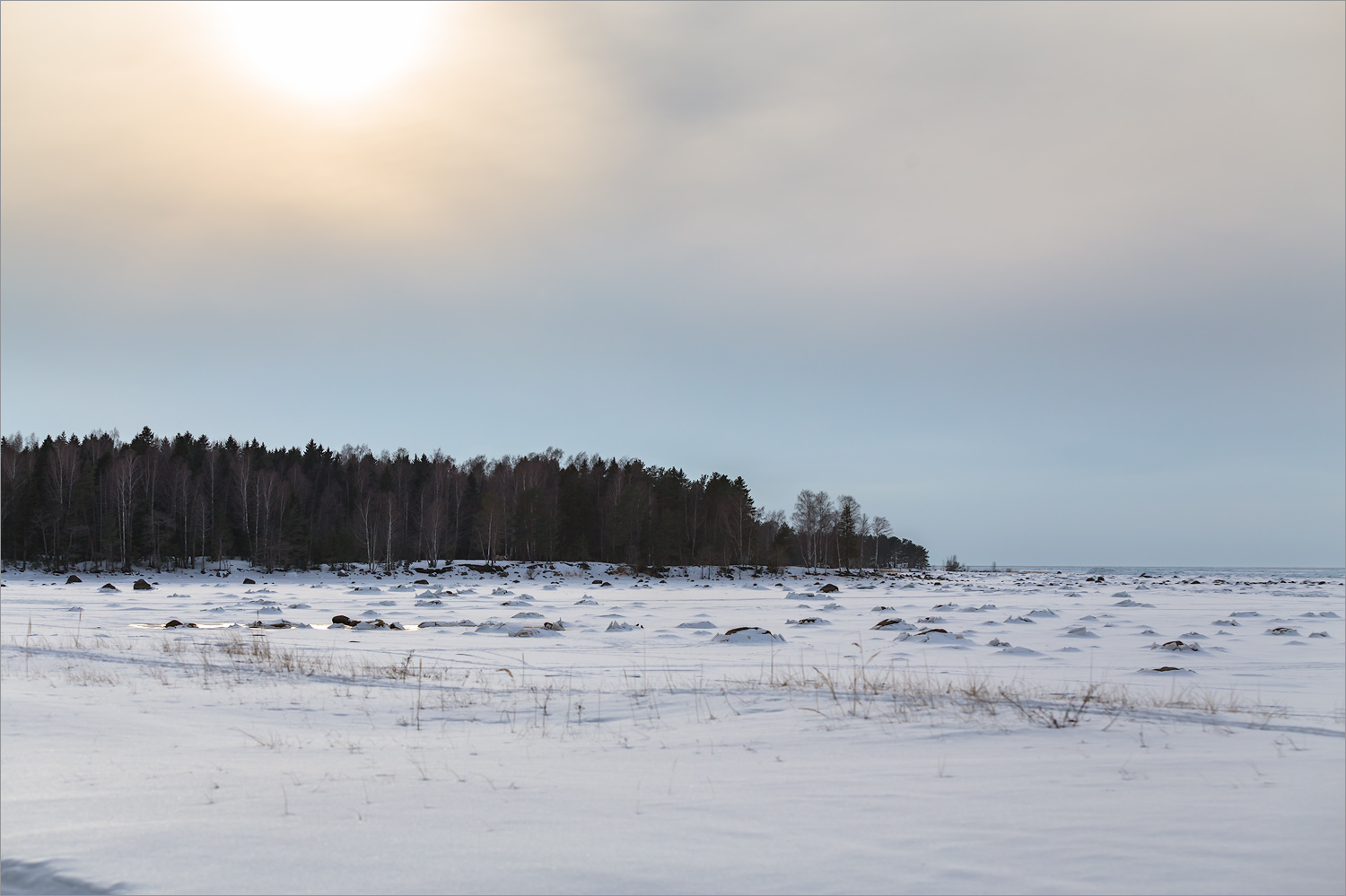Кандикюля, image of landscape/habitat.