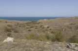 Image of landscape