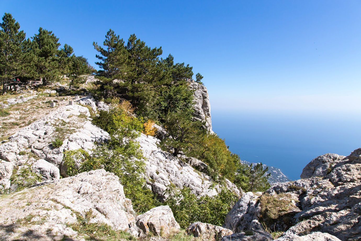 Ай-Петринская яйла, image of landscape/habitat.