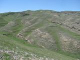 Image of landscape