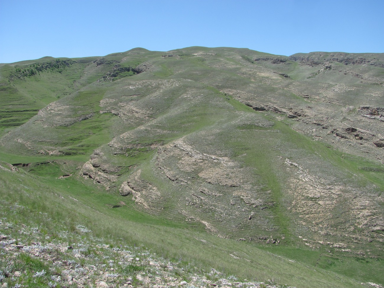 Леваши, image of landscape/habitat.