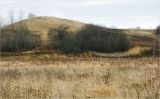 Смоленск, image of landscape/habitat.
