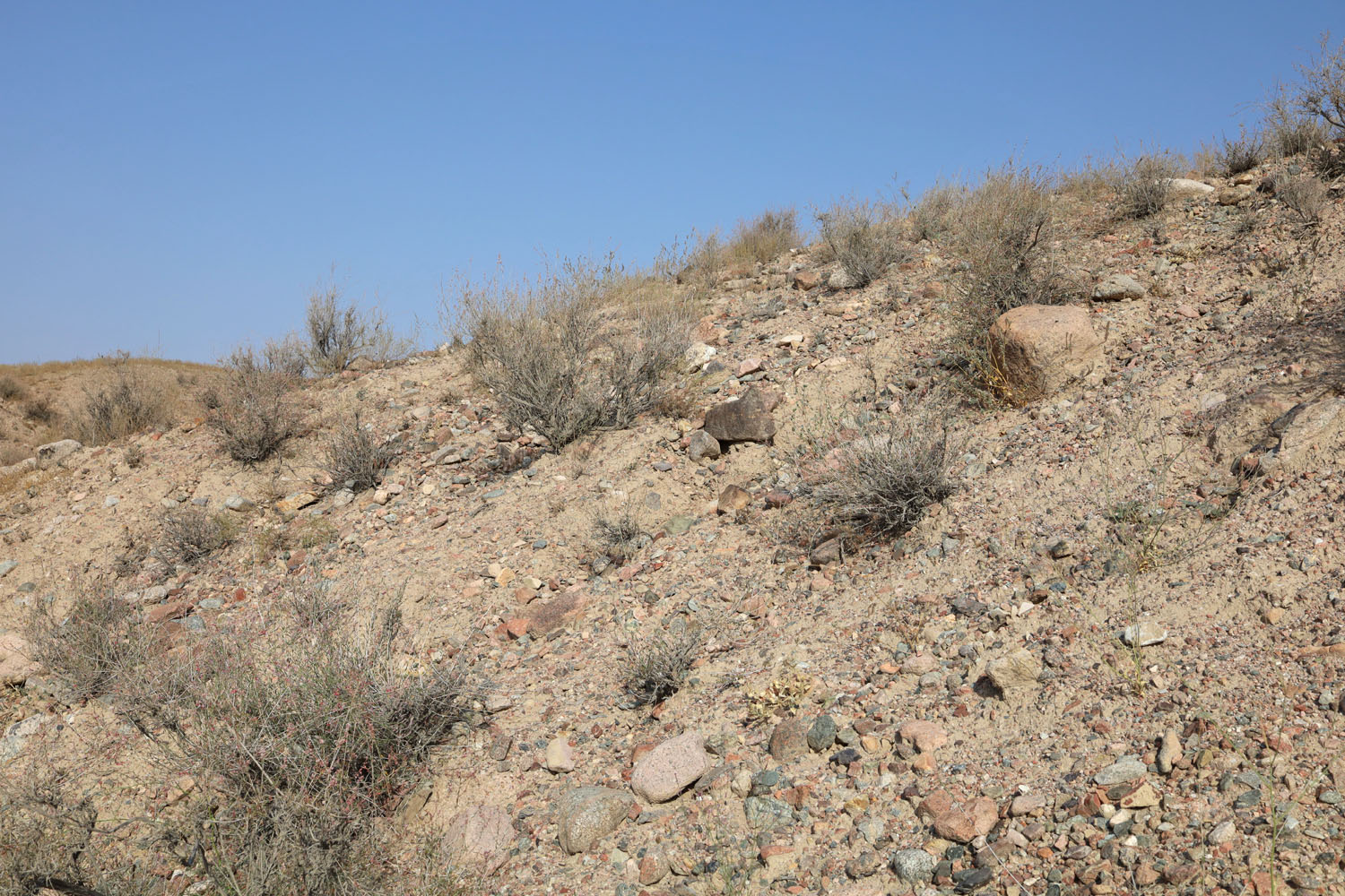 Папские адыры, image of landscape/habitat.