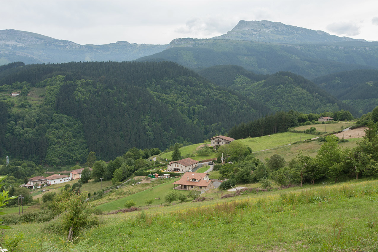 Арратия, изображение ландшафта.