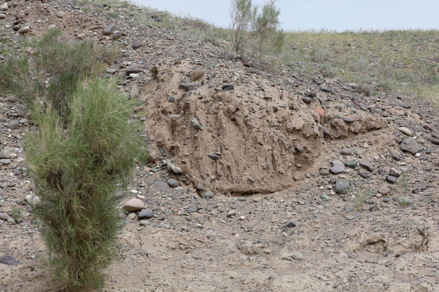 Долина реки Чарын близ Чунджы, image of landscape/habitat.