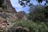 Image of landscape