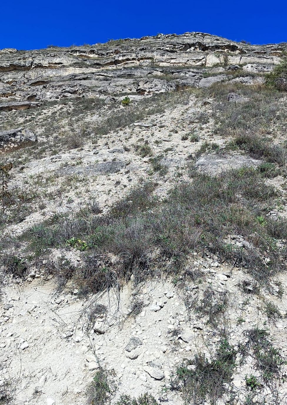 Машкэуць, image of landscape/habitat.