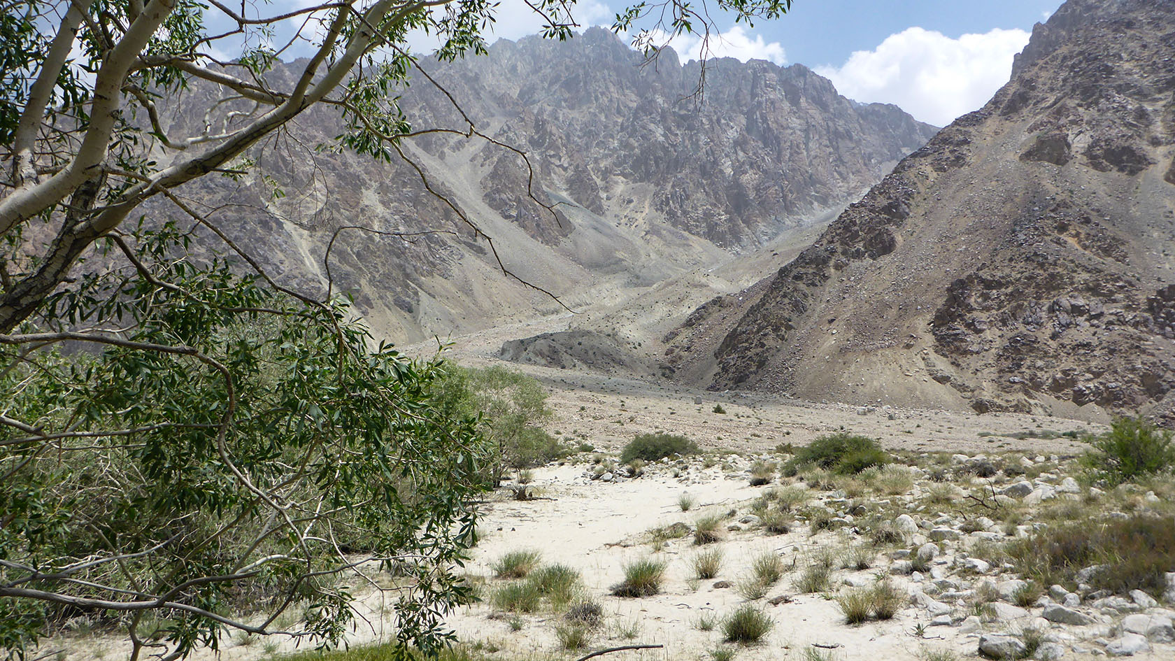Ирхтский залив, image of landscape/habitat.