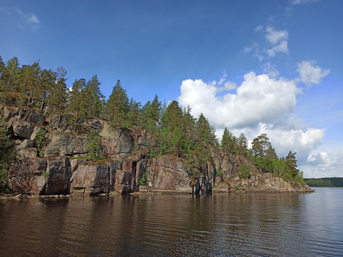 Парк Монрепо, image of landscape/habitat.