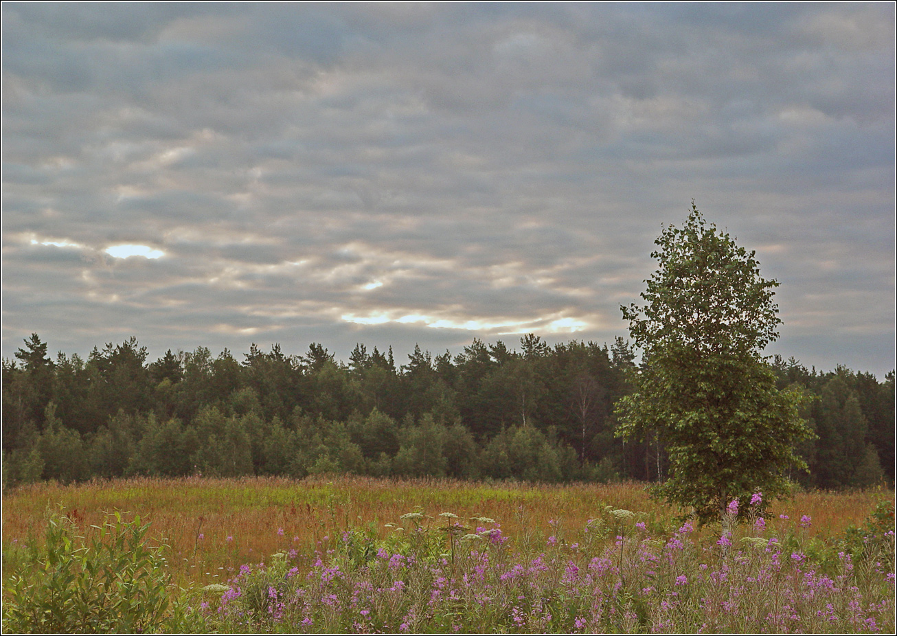 Окрестности Хрипани, изображение ландшафта.