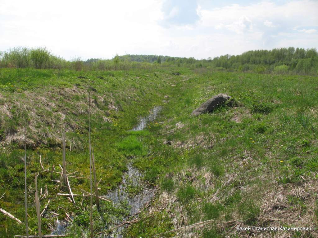 Река Чемеровка, image of landscape/habitat.