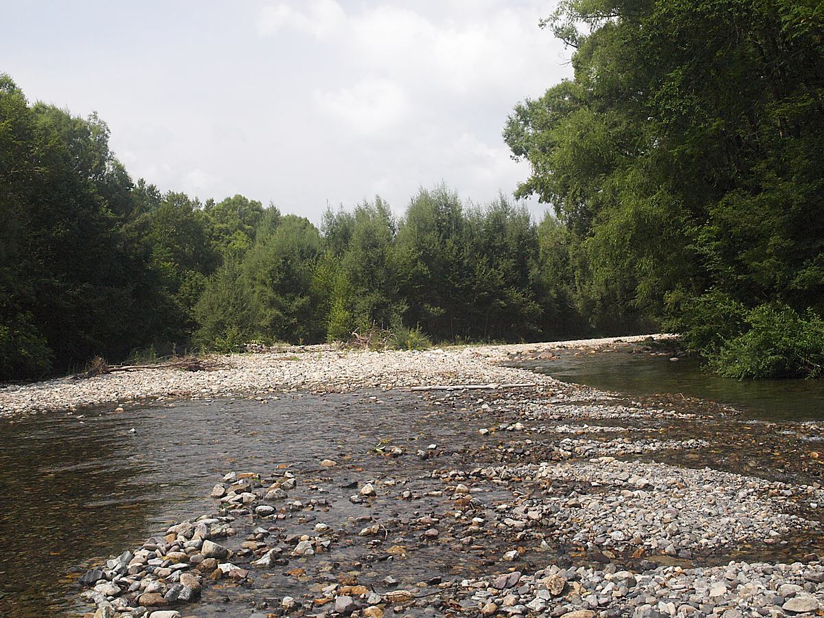 Кордон Карпадь, image of landscape/habitat.