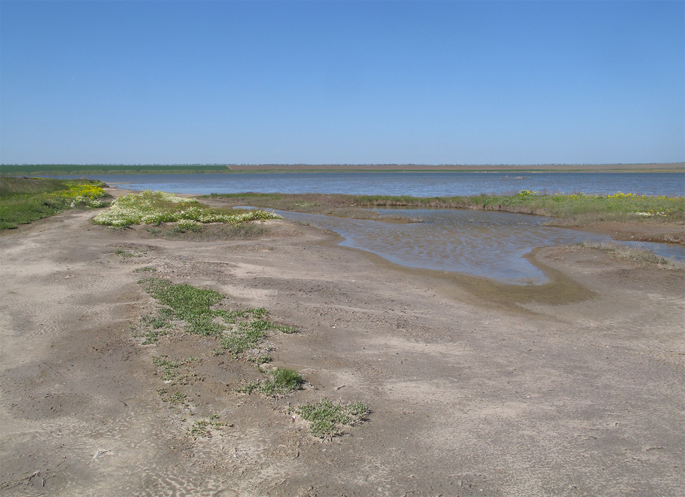 Озеро Солёное, image of landscape/habitat.