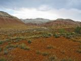 Image of landscape