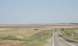 Image of landscape