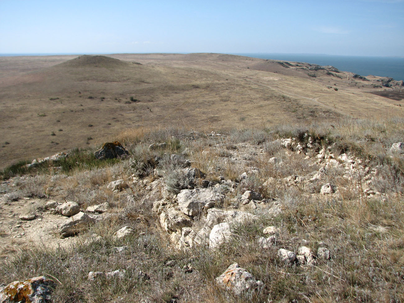 Караларская степь, image of landscape/habitat.