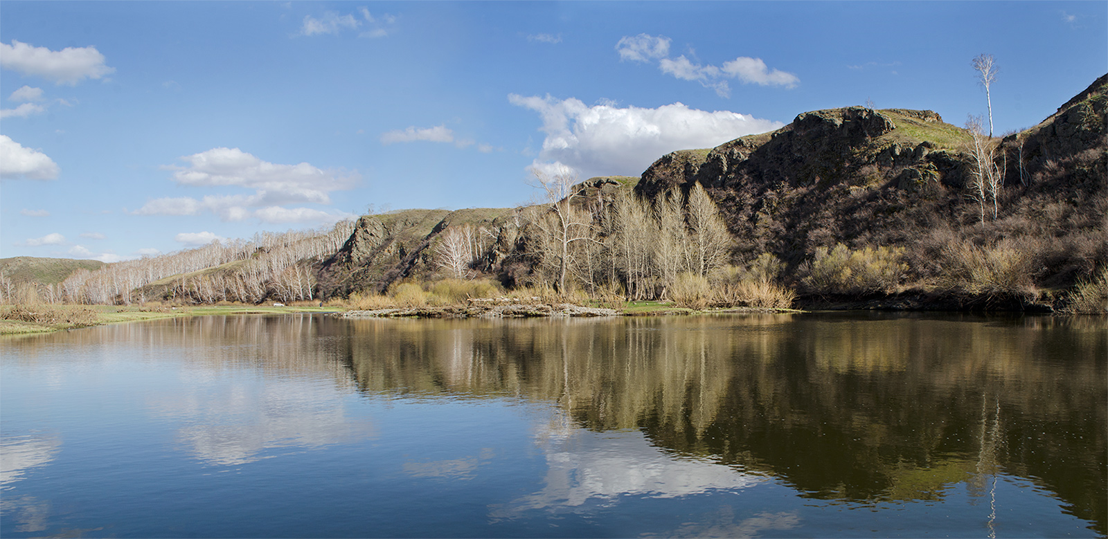 Окрестности Скалистого, image of landscape/habitat.