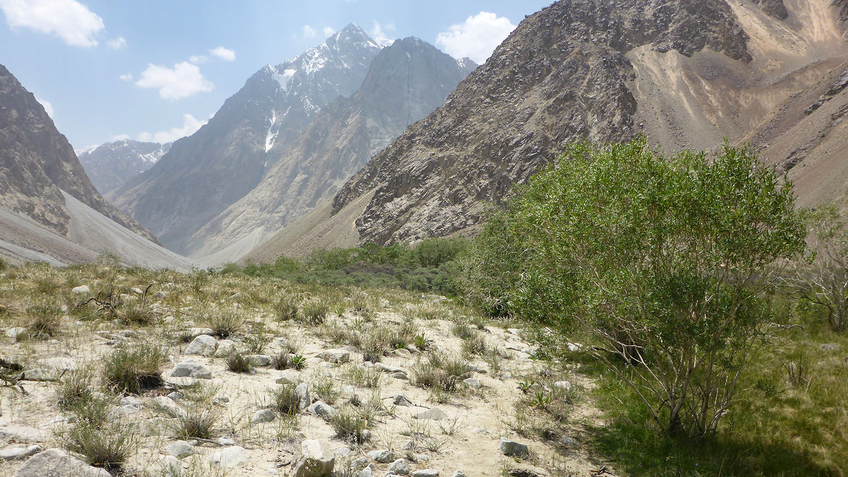 Ирхтский залив, image of landscape/habitat.
