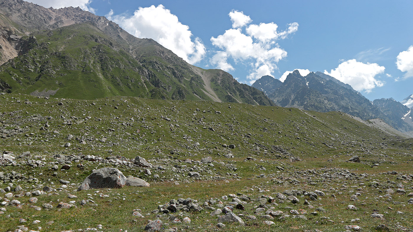 Ледник Нахашбита (Псыгансу), изображение ландшафта.
