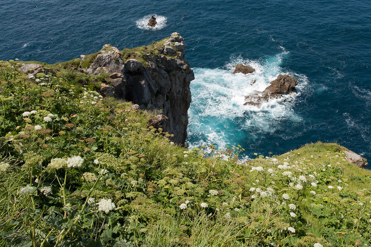 Гастелугаче, image of landscape/habitat.