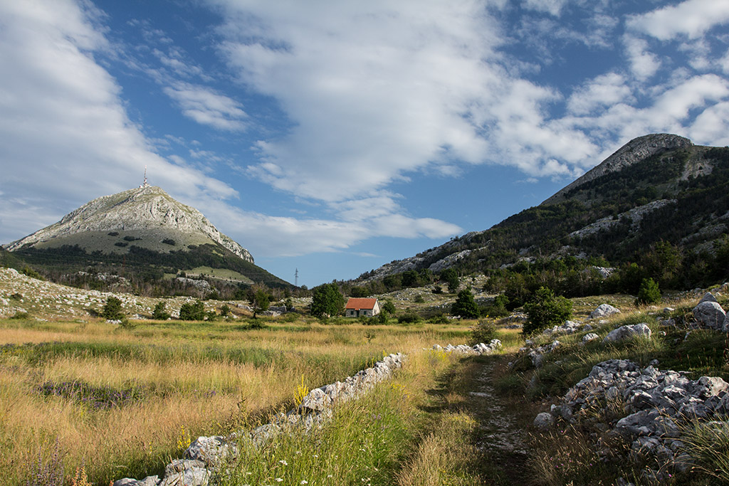 Ловчен, image of landscape/habitat.