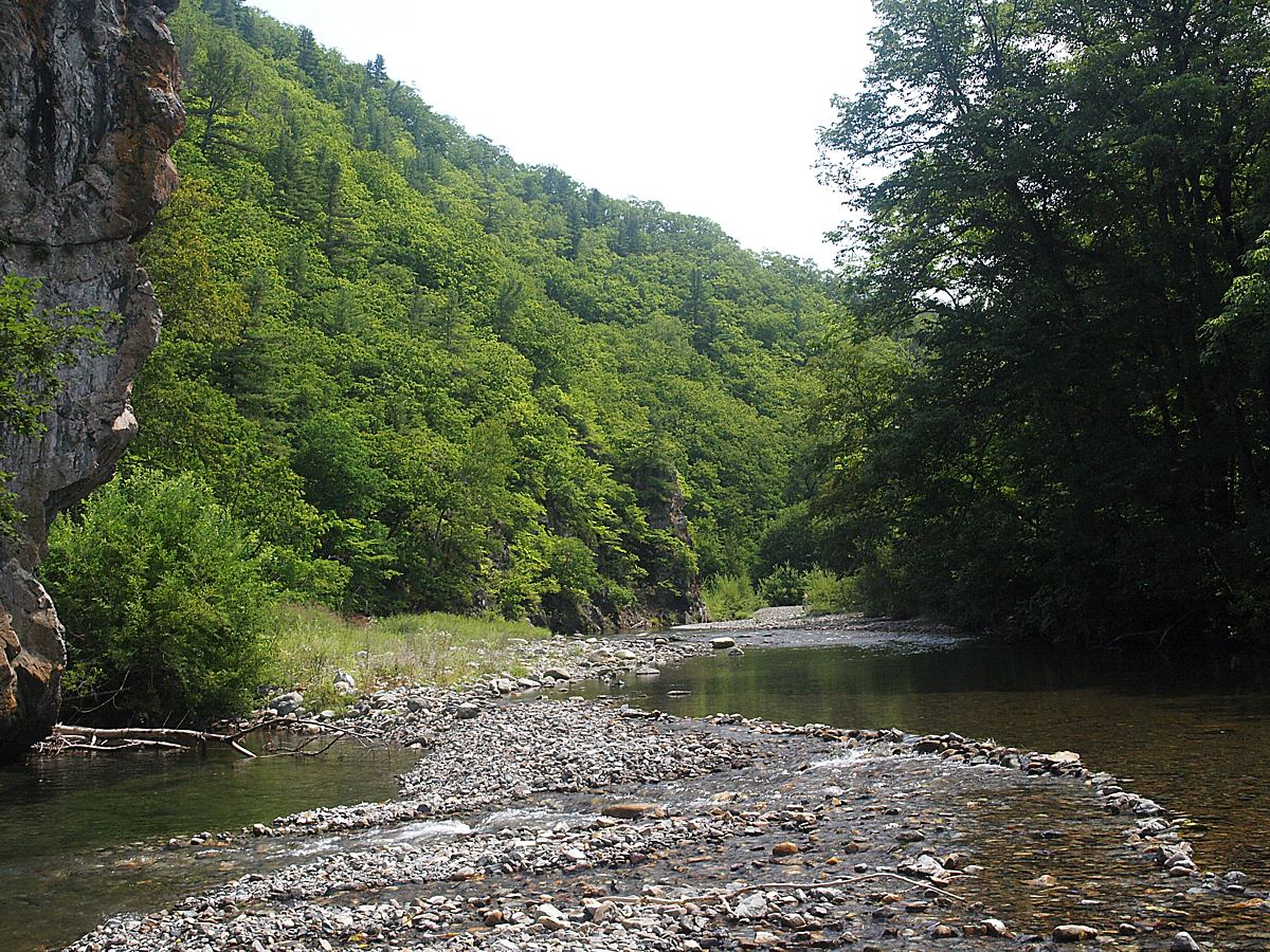 Кордон Карпадь, image of landscape/habitat.