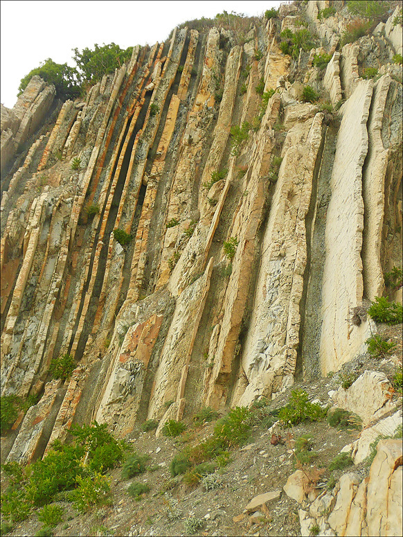 Окрестности мыса Шесхарис, image of landscape/habitat.