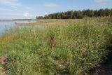 Image of landscape