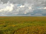Воркута, image of landscape/habitat.