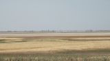 Image of landscape