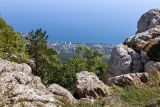 Ай-Петринская яйла, image of landscape/habitat.