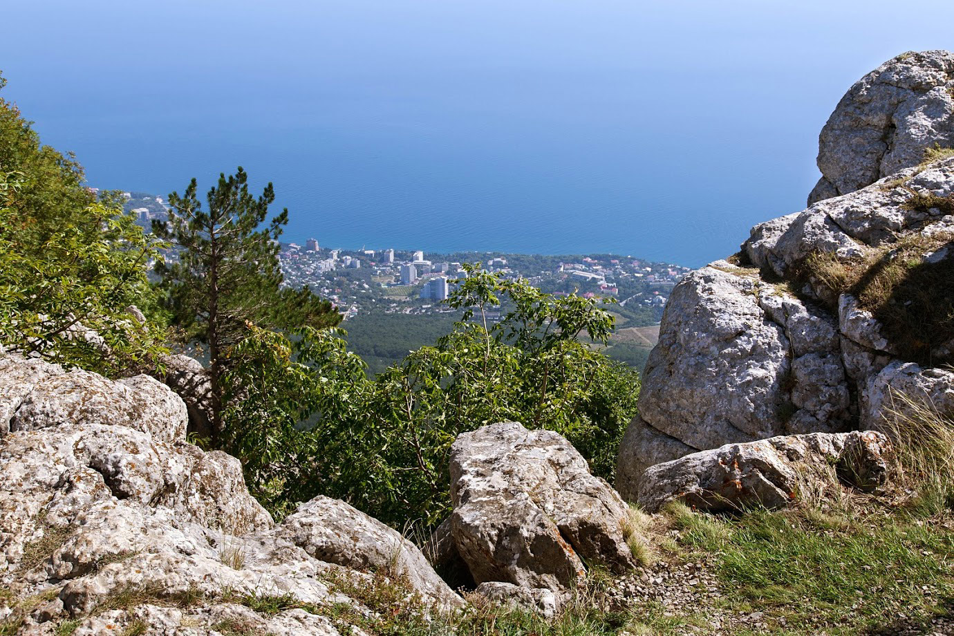 Ай-Петринская яйла, image of landscape/habitat.