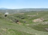 Image of landscape