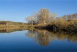 Окрестности Скалистого, image of landscape/habitat.