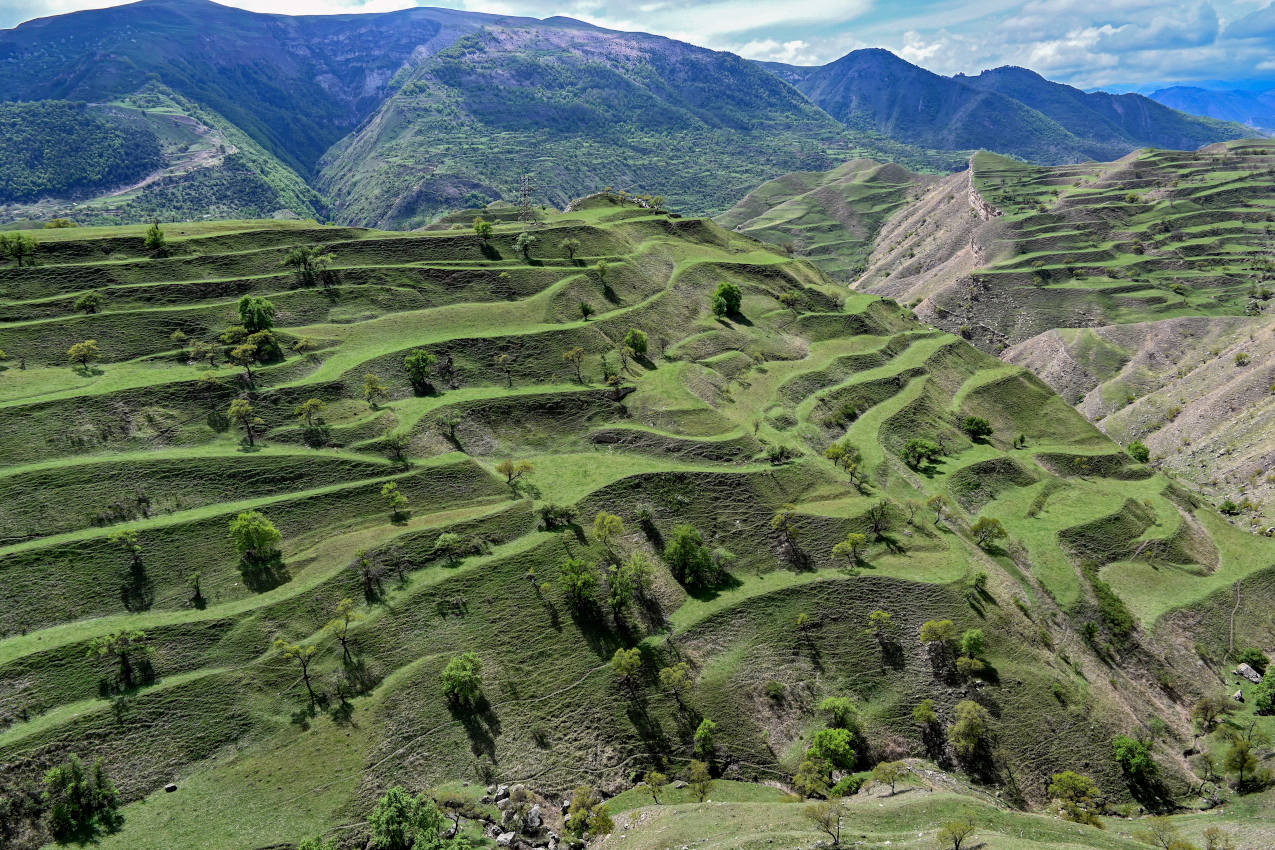 Окрестности села Чох, image of landscape/habitat.