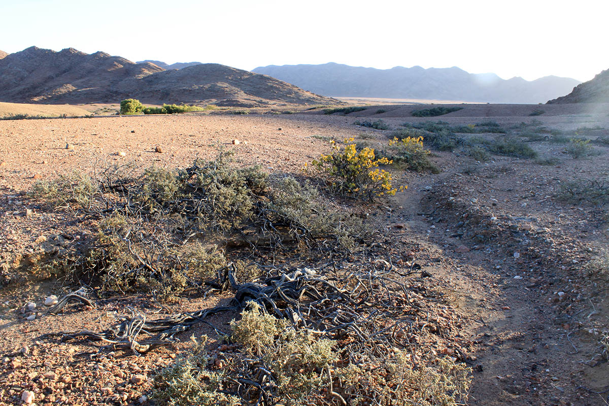 Каоколенд, image of landscape/habitat.