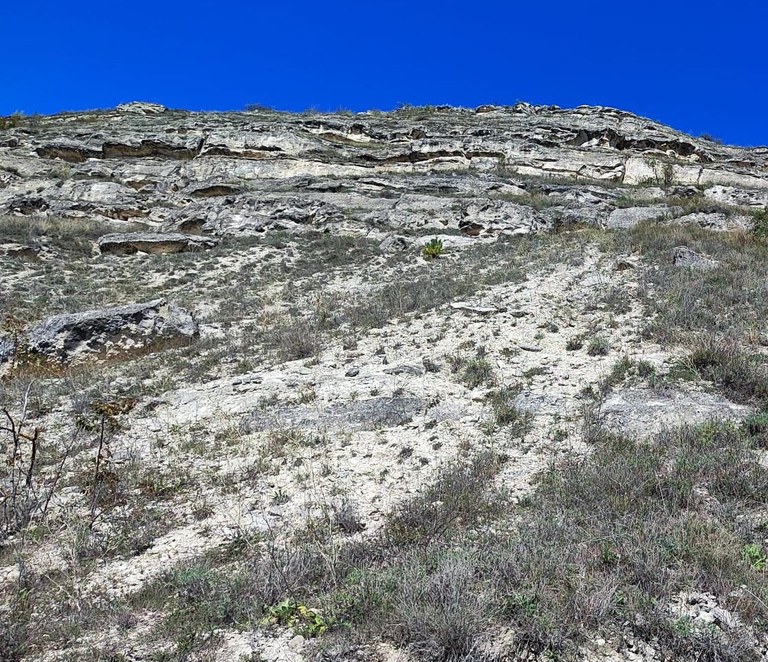 Машкэуць, image of landscape/habitat.
