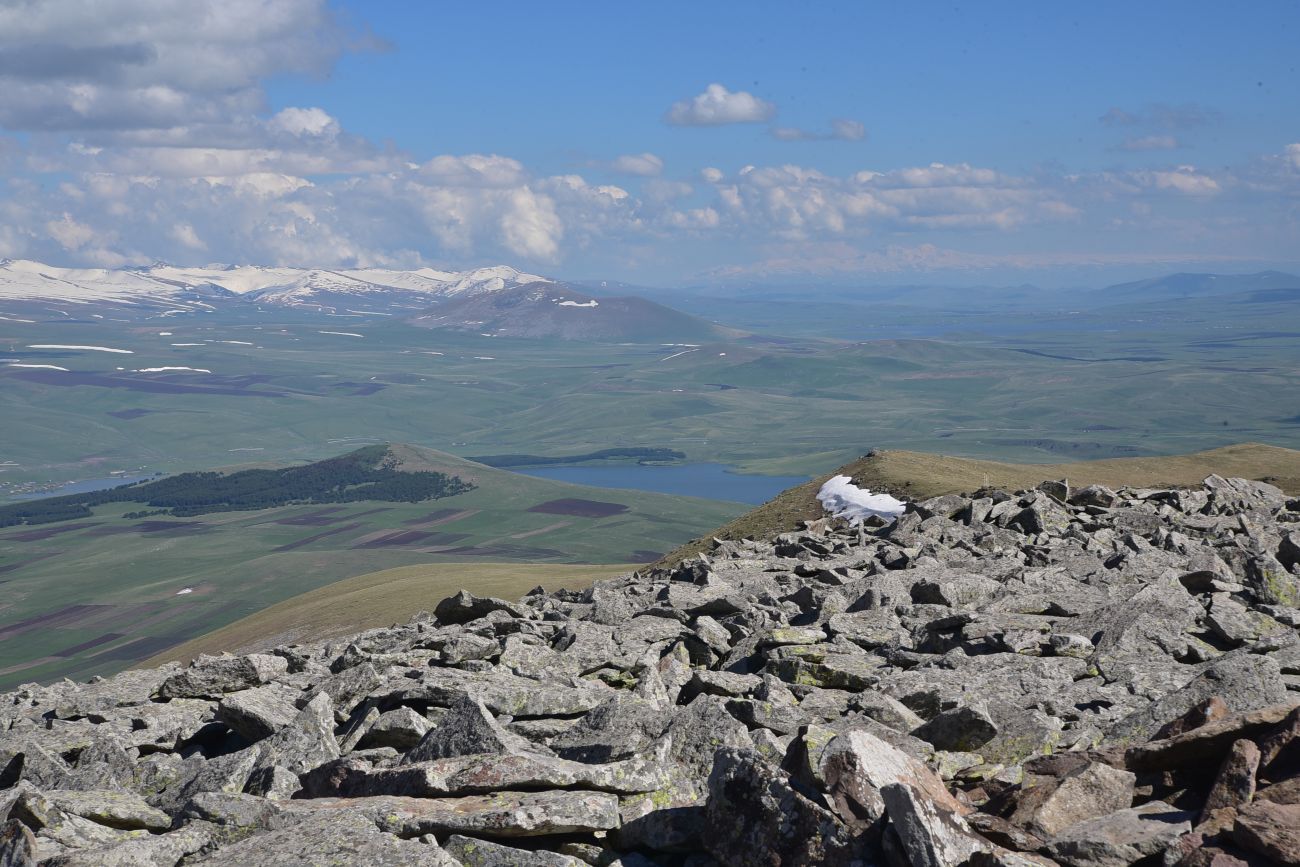 Гора Патара Абули, image of landscape/habitat.
