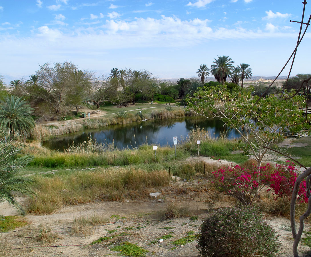 Эмек Арава, image of landscape/habitat.