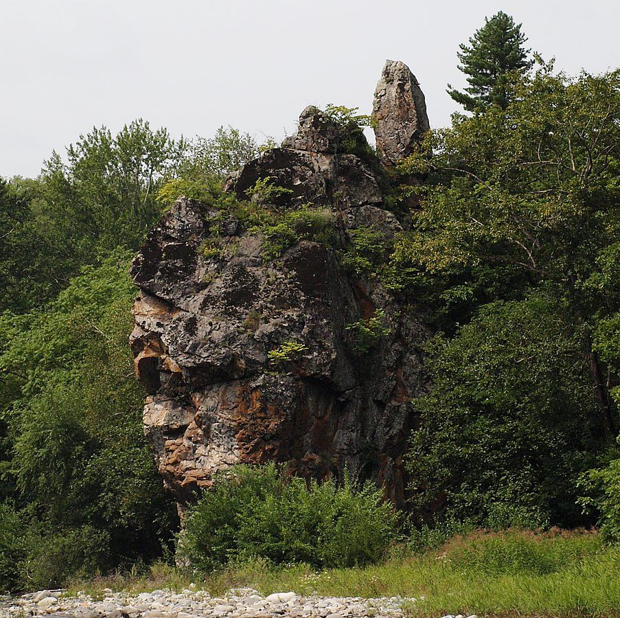 Кордон Карпадь, image of landscape/habitat.