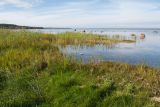 Image of landscape