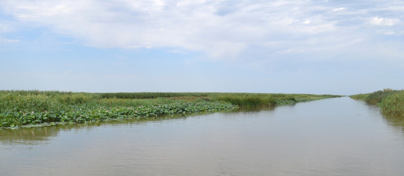 Дельта (нижняя зона), image of landscape/habitat.