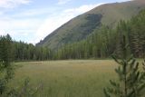 Image of landscape