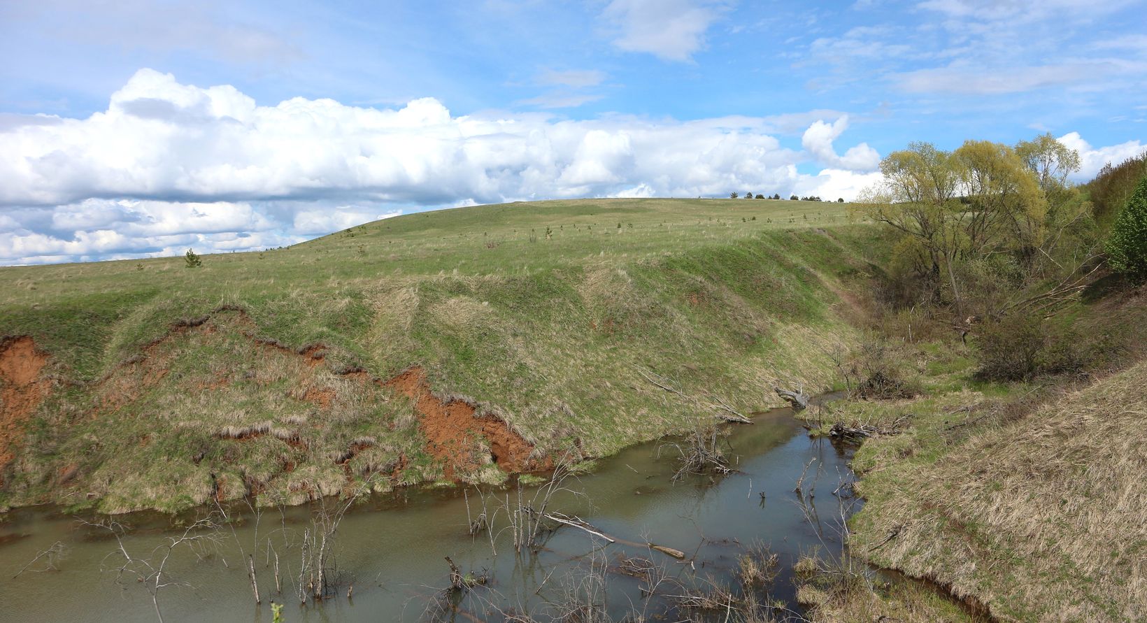 Окрестности села Свиногорье, image of landscape/habitat.