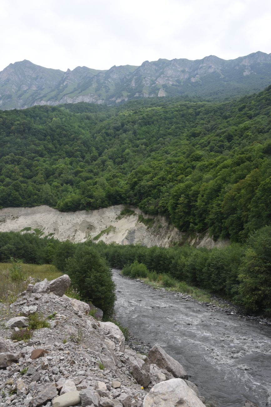 Окрестности Кенсой, image of landscape/habitat.
