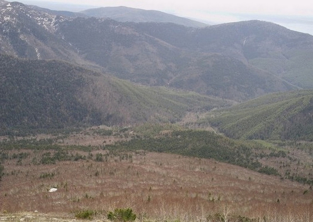 Долина реки Рогатки, image of landscape/habitat.