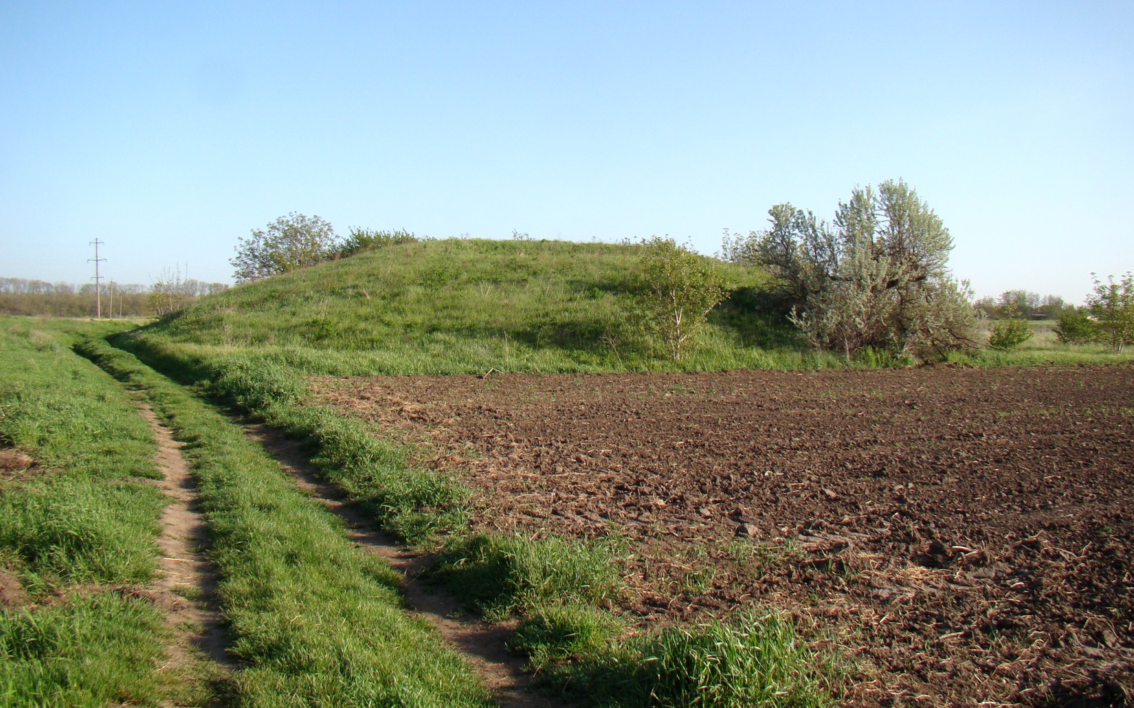Станица Воронежская, image of landscape/habitat.