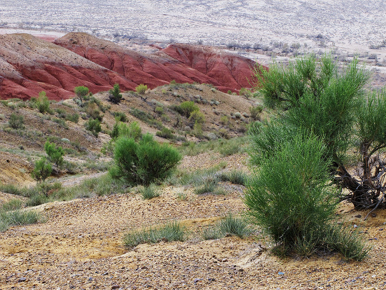 Горы Актау (Алтын-Эмель), image of landscape/habitat.