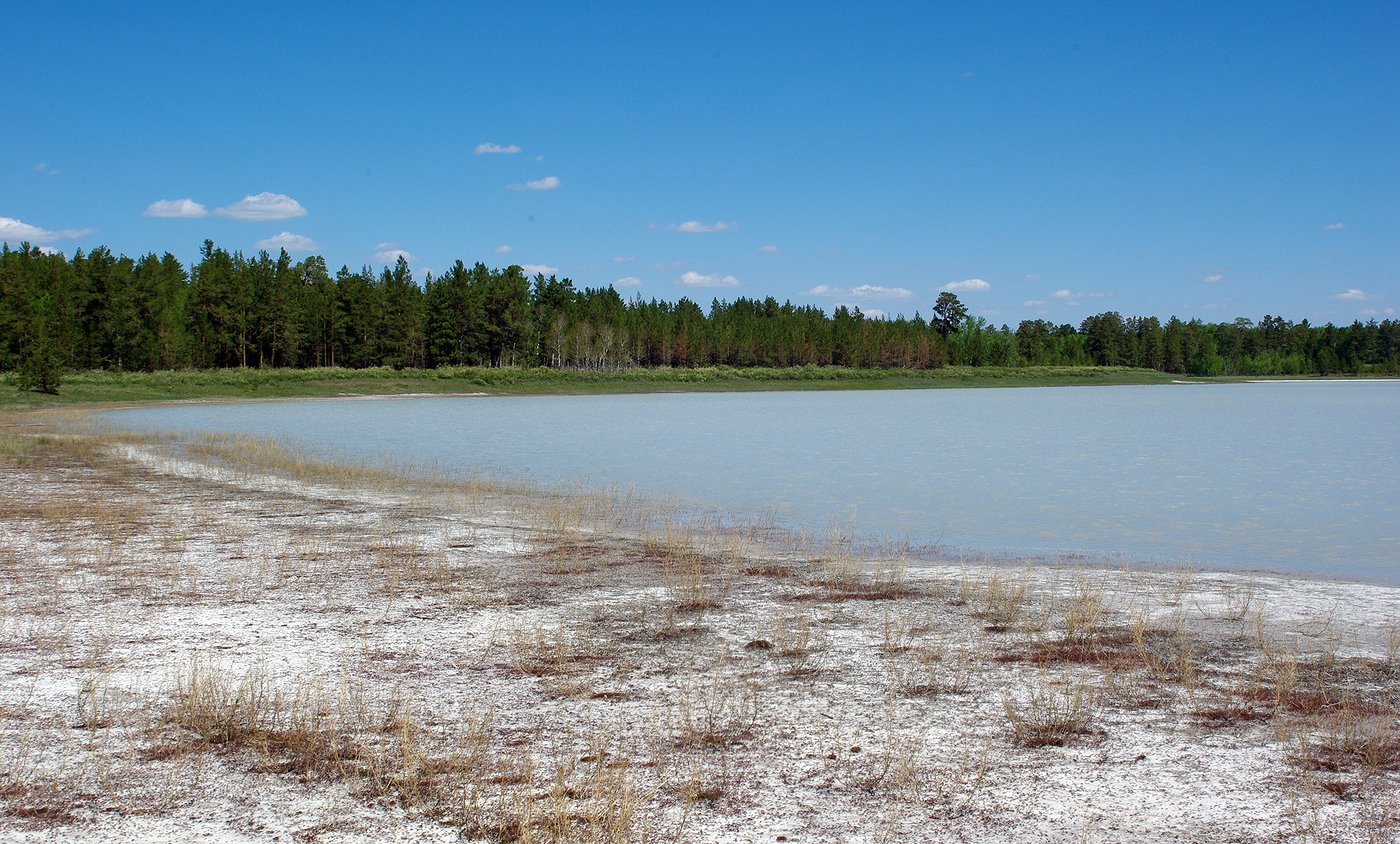 Аманкарагай, image of landscape/habitat.